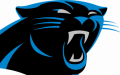 The Carolina Panthers