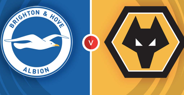Soccer Predictions Brighton vs Wolverhampton, Picks and Odds